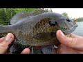 Bluegill Fishing Tips - How To Locate And Catch Big Bluegill (In 2019)