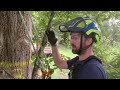 Intro to Tree Climbing: Basic DDRT/MRS Technique