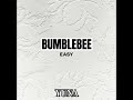 BUMBLEBEE (호박벌)-'SMART' (Official Audio)
