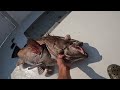 Hooked A GIANT Down Deep (Offshore Fishing/Deep Drop Oregon Inlet)