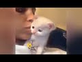 Funniest Cats and Dogs Videos 😅🐱 Best Funniest Catss Video 2024 🐈🐱