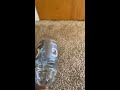 Boring water bottle flip