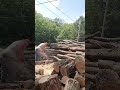 cutting firewood