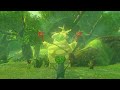 What happens when you get all 1000 Korok seeds in Tears of The Kingdom?