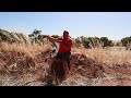 Aussie drylands swale in summer | Off-grid homestead