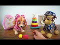Paw Patrol Toys Playtime  Skye is sick  Doctor Visit | Fun Video for Kids