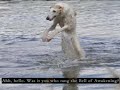 Primordial Borzoi