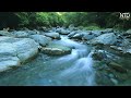 The Sound Of Running Water Helps You Dispel All Fatigue | Piano Music, Yoga Music
