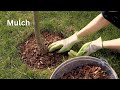 Farming and Gardening -Don't Forget the Dirt? | Why Soil is Your Garden's Secret Weapon!