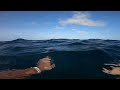A swim in the Lesser Antilles