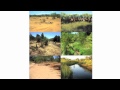 Soil carbon -- Putting carbon back where it belongs -- In the Earth | Tony Lovell | TEDxDubbo