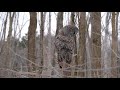 HUNTING GREAT GRAY OWL [4K Samples] LUMIX GH5 + LEICA 100-400mm | Wildlife Videography | 7W2