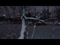 NYC Night Snowfall in Central Park - Manhattan, New York 4K