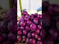 IRAN 2023 - Winter Crops, Winter Fresh Vegetables Market Tour - Do You know the name of them?