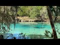THE BEST FLORIDA SPRING for Swimming | Florida Springs | Silver Glen Springs | Ocala National Forest