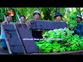 Making Giant Banana Candies in Village - Cooking Dried Banana Fruit @KitchenFoods