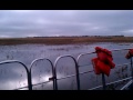 Florida Everglades Airboat Ride