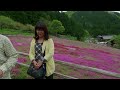 【風景と自然】國田家の芝桜 郡上市明宝 岐阜県 2024年5月1日 Moss Plox of Kunida family in Meiho,Gujo city Gifu