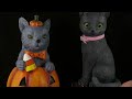 Custom Ghost Cat Statue