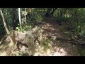 Taurewa Loop Track, Tongariro Forest, New Zealand | 4K