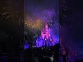 Disney  Magic Kingdom  July 4 Fireworks