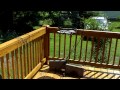 New Deck Treatment 5-2014