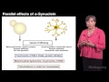 Susan Lindquist (Whitehead, MIT / HHMI) 1b: Protein Folding in Neurodegenerative Disease