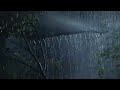 Sleep Instantly with Heavy Rain & Very Strong Thunder on Tin Roof | Thunderstorm Sounds for Sleeping