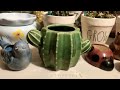 My Plant Pots and Planters Collection