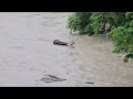 Großes Hochwasser an der Fils, 01. Juni 2024