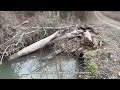UNCLOGGING MAJORLY CLOGGED CULVERTS!! BIG OUTFLOW! 04/2024 NT #41