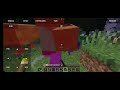 Playing My Minecraft Private Server :ep 1