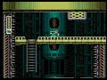 Megaman X: GBD Swarm Eucerini Stage