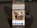 Popcat 30000-35000 (total 5000 clicks)