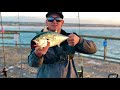 Bonita Fishing Gulf Coast Piers ( Navarre Pier & Okaloosa Island Pier)