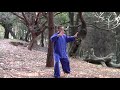 Chi Kung/Qi Gong para vivir con VITALIDAD y ARMONIA  (Los Diez Símbolos de la Longevidad)  😀😉