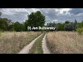 Dj Jan Buzowsky- Chill step on the wild road