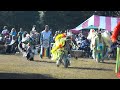 2010 PowWow TN