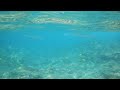 Underwater video
