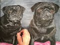 Pug painting