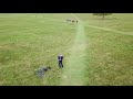 Copy of Richmond Park - Mavic Pro