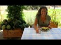 TWO MEDITERRANEAN HEALTHY SUMMER LUNCHES from our garden in Italy