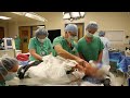 Day In the Life of A Neurosurgeon - Mark McLaughlin, MD, FACS, FAANS :  Episode 2