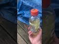 Crazy bottle flip with Collab ￼￼￼ with bones ￼