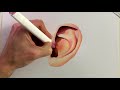 EAR DRAWING - 3 Mediums | Arteza Colour Pencil | Arteza Everblend Markers | Watercolor