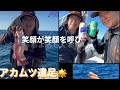 アカムツ のどぐろ 高知 中深海 深場460mもチャレンジ!! 美来丸