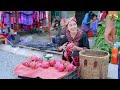Harvest dragon fruit garden and take to the market to sell - Make cakes from dragon fruit