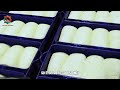 How Millions Of  Slice Breads Are Made in Factory|Factory  Explored