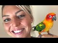 How to stop your bird from biting! | Aggressive bird behavior