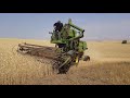 John Deere 55H first Wheat after 42 years of rest!!!!